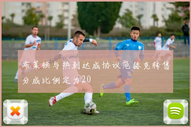 布莱顿与热刺达成协议范赫克转售分成比例定为20